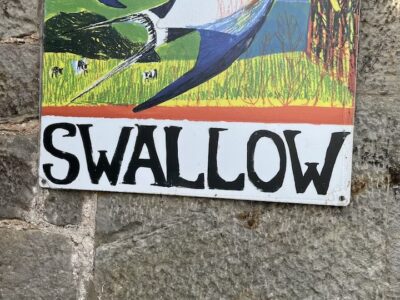 IMG_6201 2.jpeg~bak.jpeg 13-00-39-495